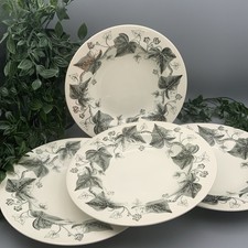 Wedgewood napoleon ivy for sale Wedgewood napoleon ivy for sale  DERBY