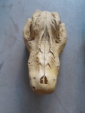 Krokodil schädel zum gebraucht kaufen  Bodman-Ludwigshafen