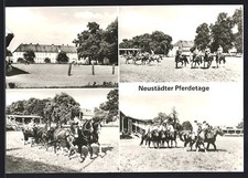 Neustadt dosse neustädter gebraucht kaufen  Berlin