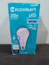 Ecosmart 300 watt for sale  Chatsworth