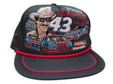 Vintage richard petty for sale  Napa