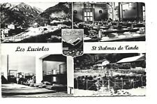 Saint dalmas tende d'occasion  Expédié en Belgium