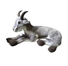 Patrick pygmy goat for sale  Cumberland Center