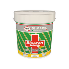 Idropittura bisaten 2000 usato  Santa Maria la Carità