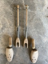 horseshoe tree for sale horseshoe tree for sale Eureka