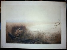 Lithographie chasse canards d'occasion  Bardos