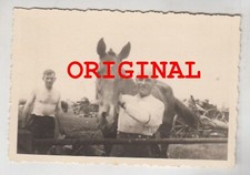 Foto 2wk pferd gebraucht kaufen  Deutschland
