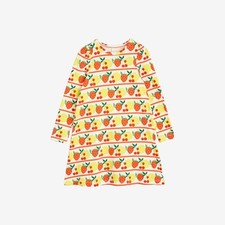 Mini rodini fruits for sale  ANDOVER