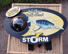 Storm wildeye soft for sale  Janesville