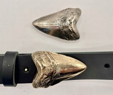 Rare megalodon shark for sale  Patchogue