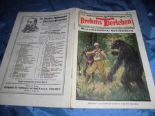 ... schilderungen brehms gebraucht kaufen  Isernhagen