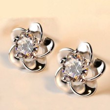 Beautiful new silver for sale  Matthews