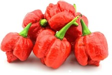Samen trinidad moruga gebraucht kaufen  Versand nach Germany