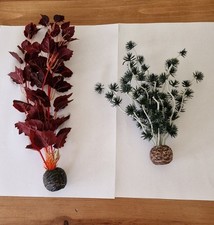Biorb aquatic plants for sale  BRIGHTON
