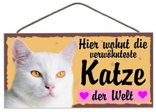 Türschild katze holzschild gebraucht kaufen  Lübeck