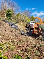 Inch jensen chipper for sale  IVYBRIDGE