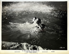 Fotos do filme "The Female Animal" Hedy Lamarr Jane Powell 58/80 1958 comprar usado  Enviando para Brazil