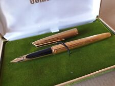 Waterman stilografica fountain usato  Medolla