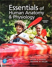 Essentials human anatomy for sale  Montgomery