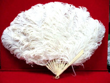 Ancien éventail plumes d'occasion  Gémenos