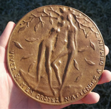 Rare médaille bronze d'occasion  Loudéac