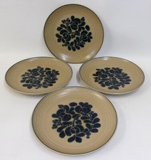 Usado, Conjunto de 4 pratos de jantar arte popular Pfaltzgraff 10" comprar usado  Enviando para Brazil