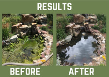 Pond algae treatment for sale  MANSFIELD
