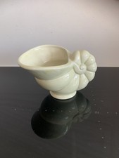 Vintage sea shell for sale  BOLTON
