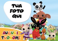 Cialda bing coniglio usato Cialda bing coniglio usato  Vittorito