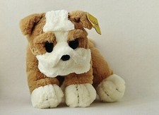 Sunkid hund bulldogge gebraucht kaufen  Deutschland