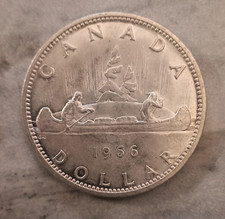 Moneta dollaro canada usato  Arezzo