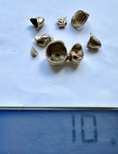 10g zahngold altgold gebraucht kaufen  Müllheim
