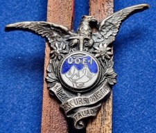 Distintivo smalti liberty usato  Ravenna