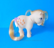 Little pony special for sale Little pony special for sale  CANNOCK