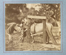 Preparing horse ironing. d'occasion  Expédié en Belgium