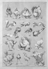Louis wain sketches for sale  GLASGOW