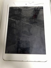 Apple ipad mini for sale  Techny