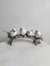 Love birds family for sale  LONDON