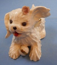 Angel champ pup for sale  Rapid City