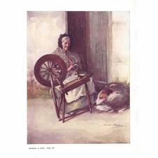 Isle skye lady for sale Isle skye lady for sale  GLASGOW