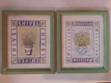 Garden herb botanical for sale  Lacey