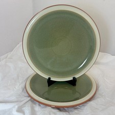 Denby fire sage for sale  CARLISLE