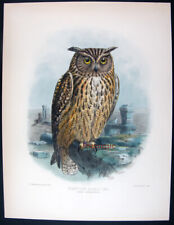 1872 folio keulemans usato  Urbino