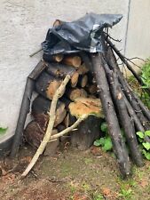 Brennholz kaminholz stammholz gebraucht kaufen  Neuwied