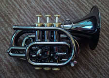 Carol brass pocket for sale  Santee