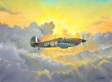 Fantastic original ww2 for sale  Flagstaff