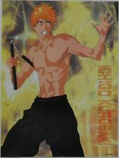 Bleach ichigo nunchaku gebraucht kaufen  Deutschland