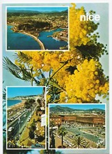 Nice d'occasion Nice d'occasion  Berlaimont