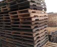 Standard pallets new for sale  Ormsby