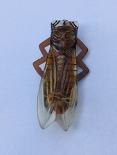 Spilla cicala art usato  Italia